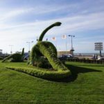 Fossiles de Villers sur Mer Afin de populariser ce patrimoine d’exception, un dinosaure de verdure géant a été installé au coeur de la ville dans les jardins face à l’Office de Tourisme.